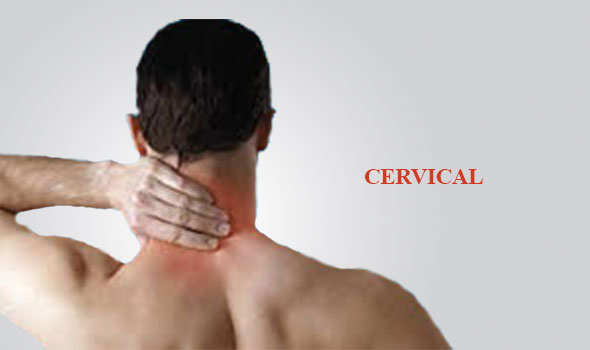 specialized_in_thrissur